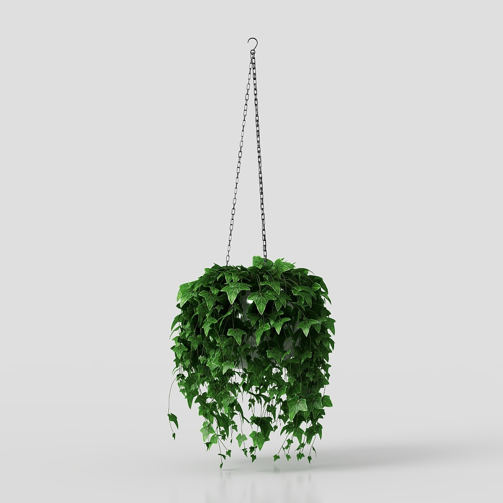 ivy potted plant