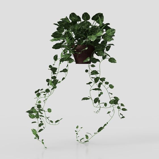 Hanging Green Plant 3D model