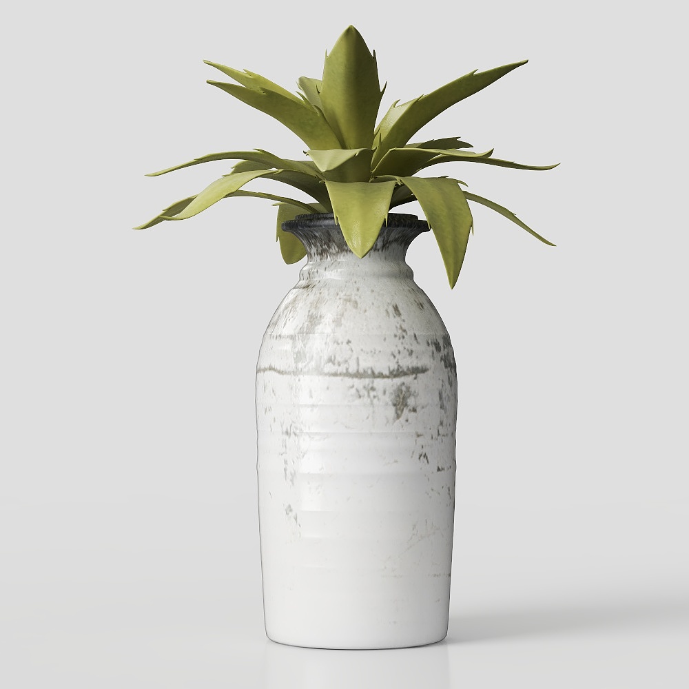 Vintage Vase with Succulent 3D model
