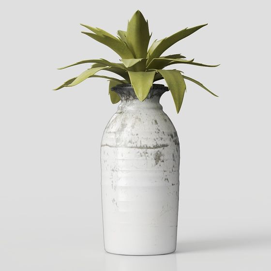 Elegant Vintage Vase with Succulent 3D model