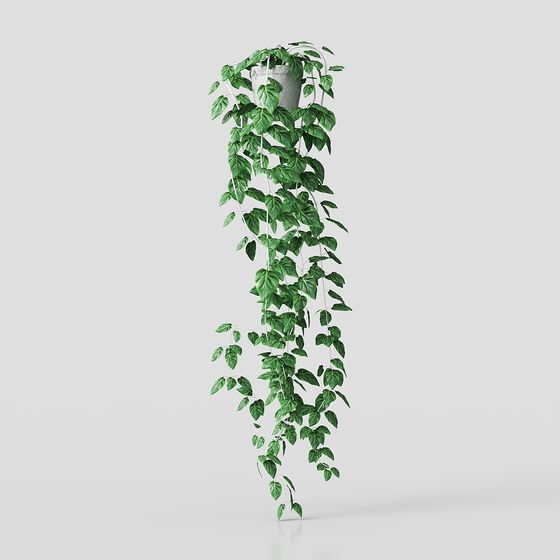 Realistic Hanging Plant 3D model for Creative Spaces