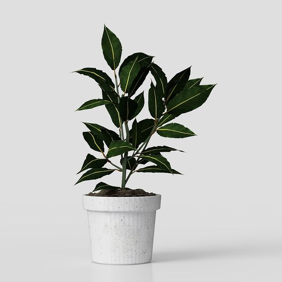 Realistic Indoor Plant 3D Model for Modern Design