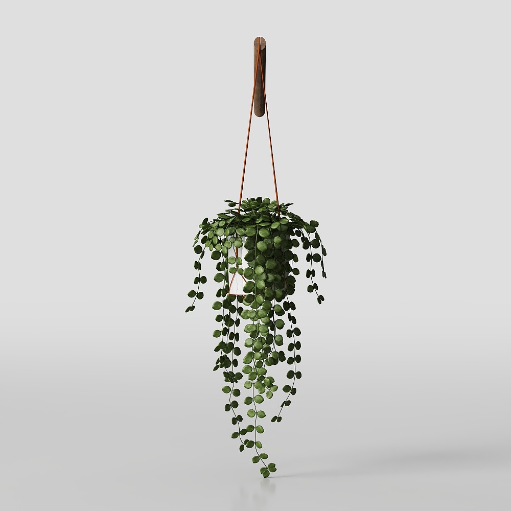 제이드 구슬 행잉 화분