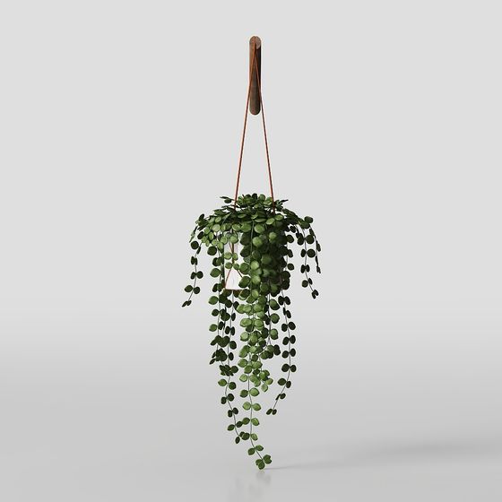 제이드 구슬 행잉 화분