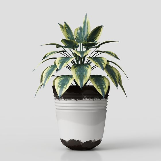 Simple Indoor Plant Pot 3D model