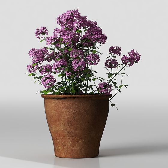 Purple Potted Plant 3D Model