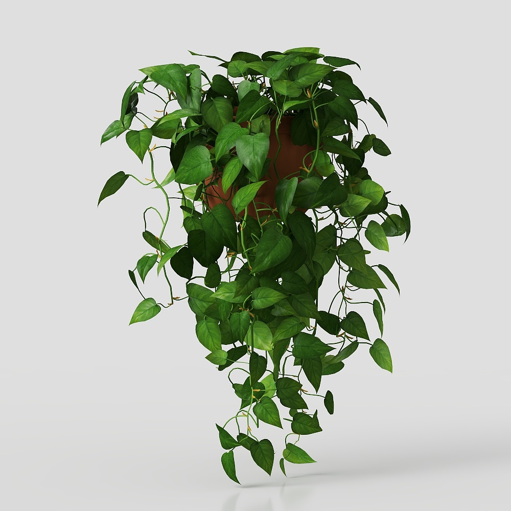 Hanging potted potted potted plants