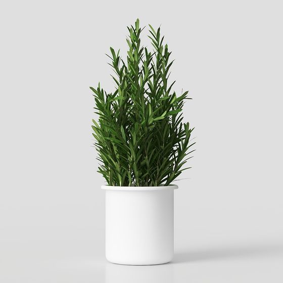 Vibrant Potted Plant 3D model for Creative Spaces