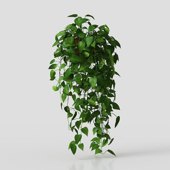 Realistic Hanging Plant 3D Model