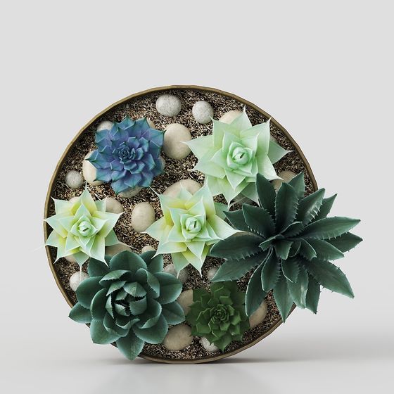 Charming Low-Poly Succulent Garden 3D model