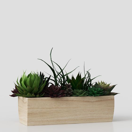 Wooden Planter and Succulent 3D model