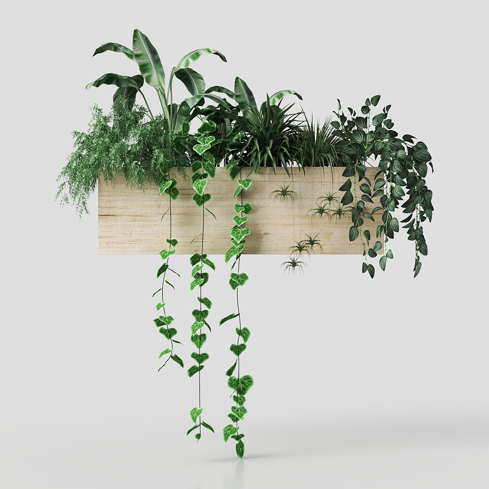 Exquisite potted green radish