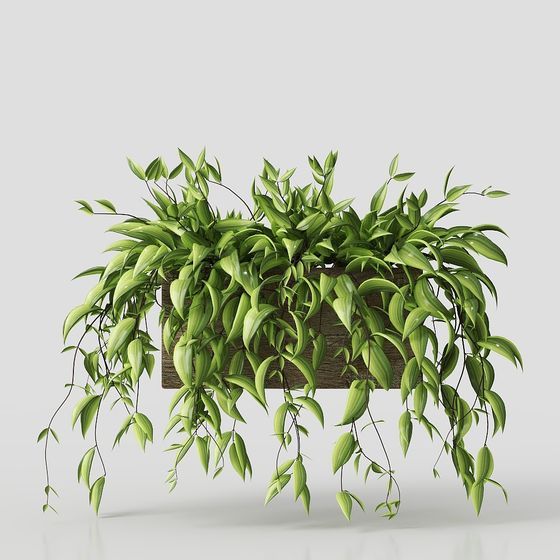 Hanging Plant 3D model for Designers and Developers