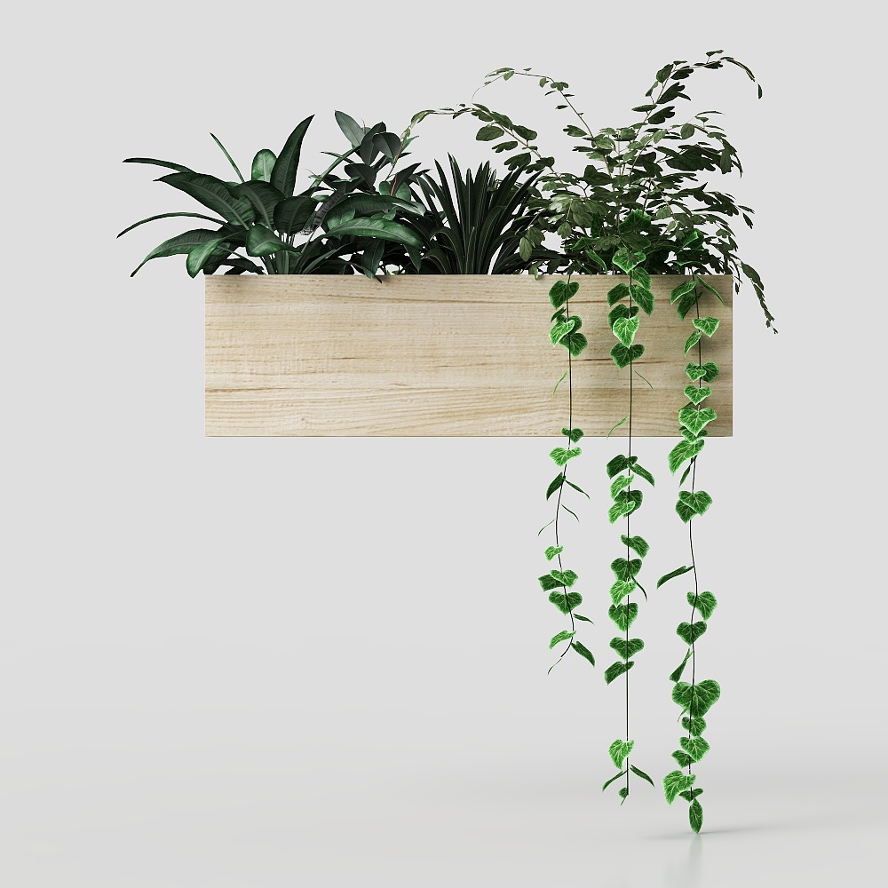 Плющ в горшке