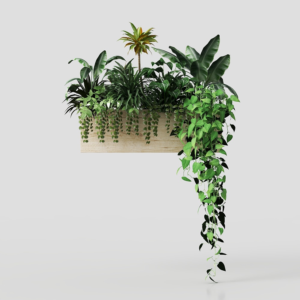 Cây để bàn xanh tinh xảo