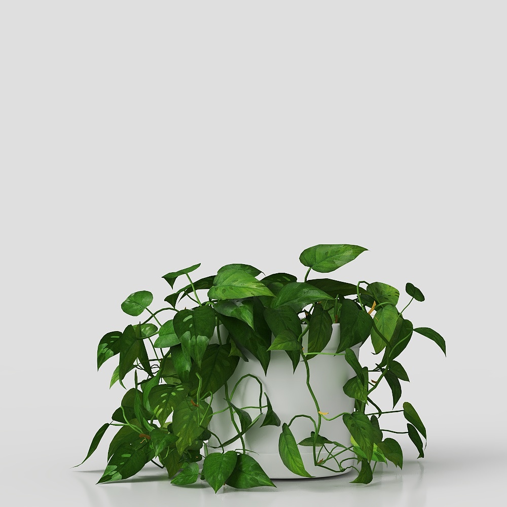 Lush Indoor Plant 3D Model