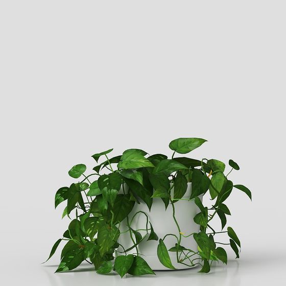 Lush Indoor Plant 3D Model