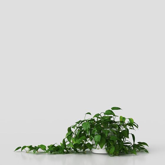 Vibrant Climbing Plant 3D model