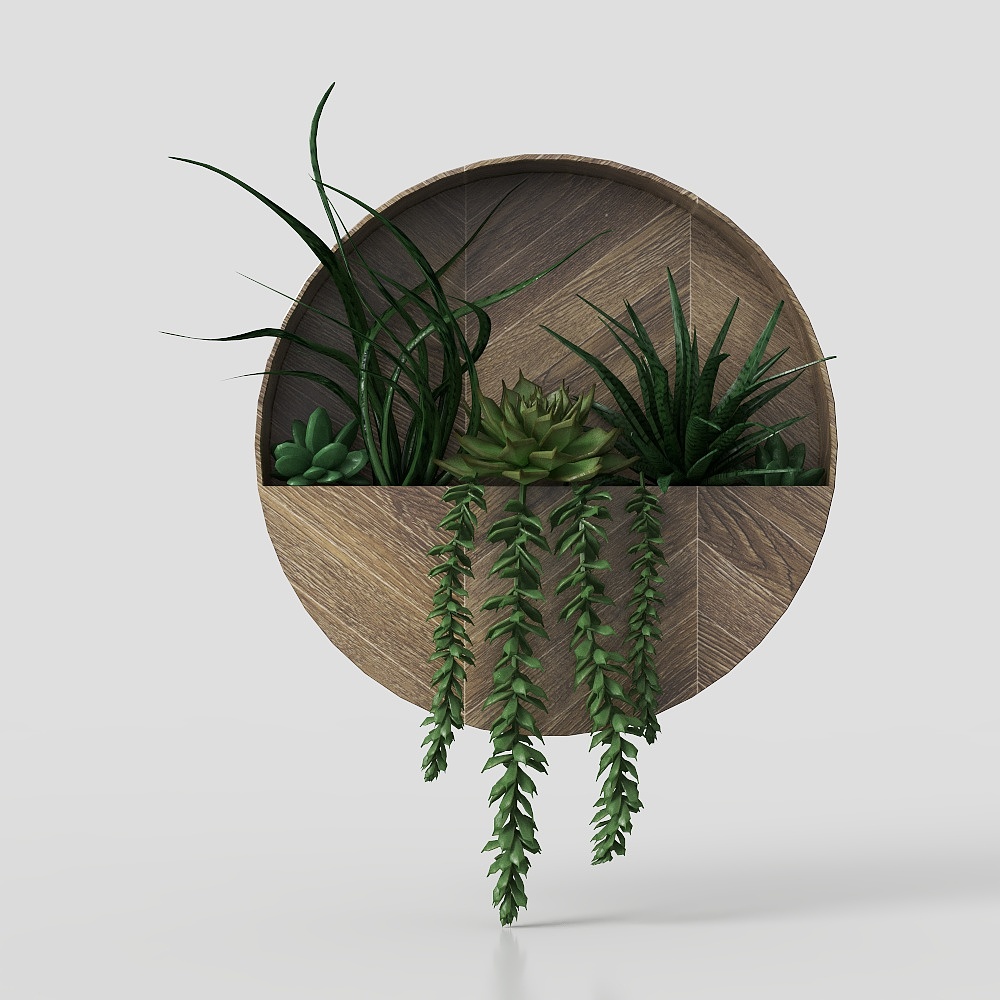wall mounted aloe vera potted plant