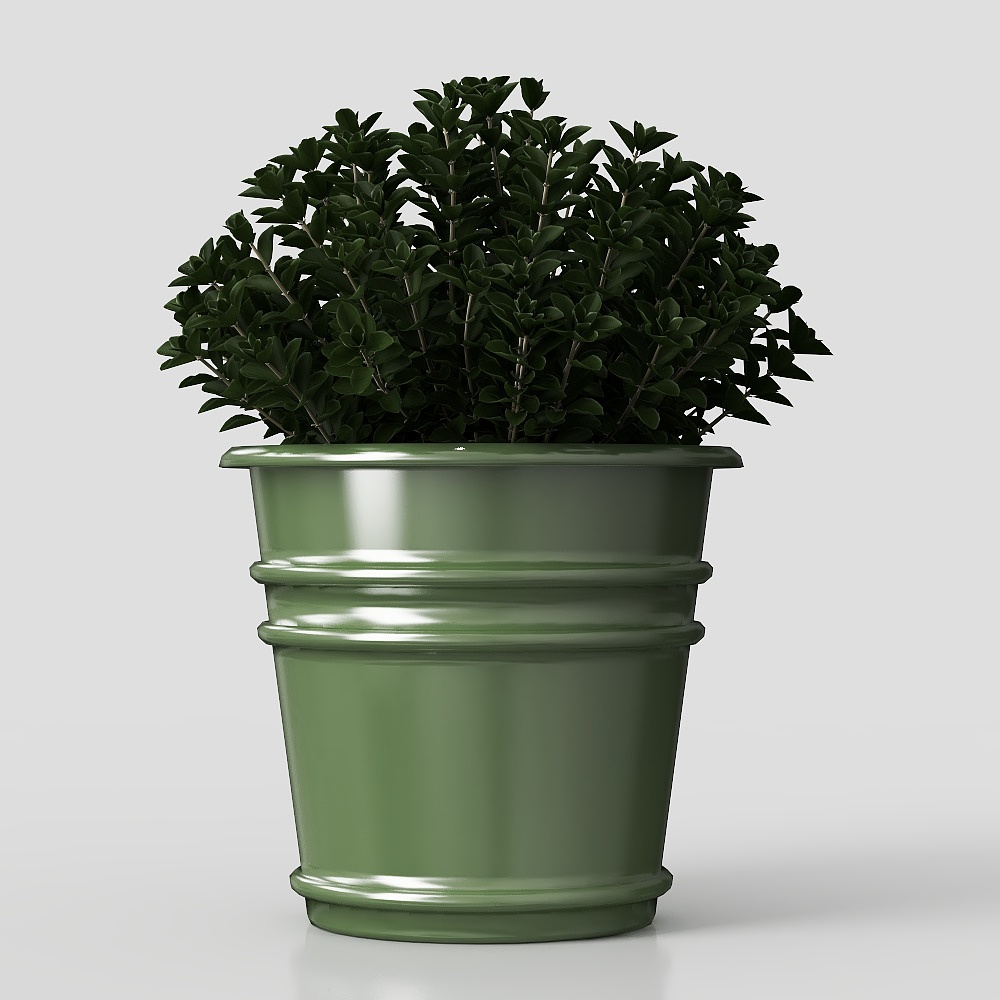 зеленые растения