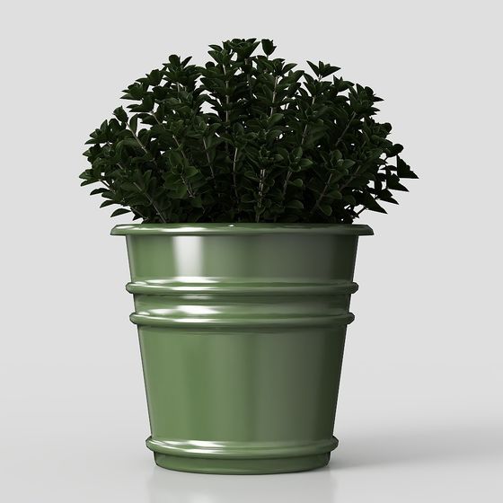 зеленые растения