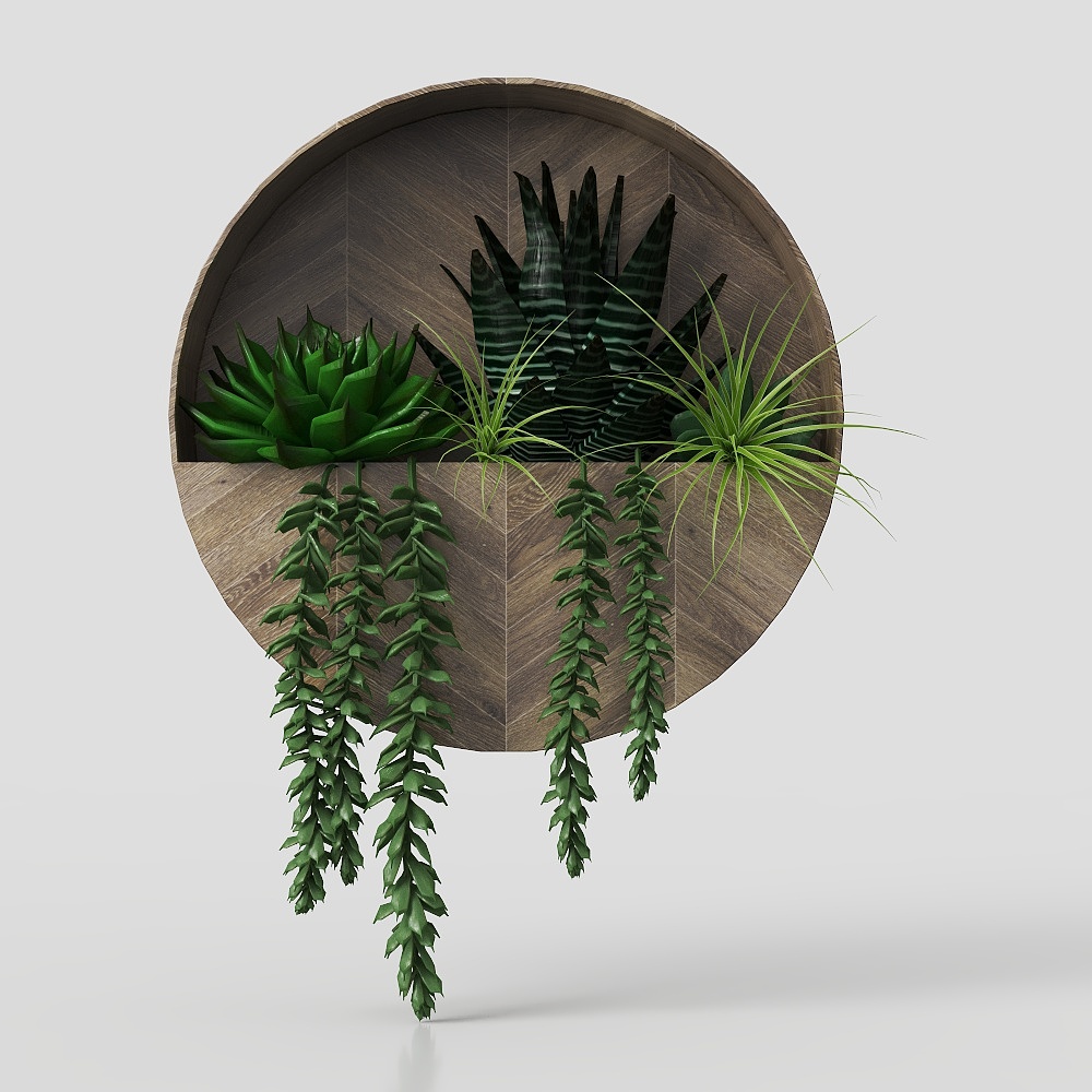 Round Wooden Wall-Mounted Planter 3D model