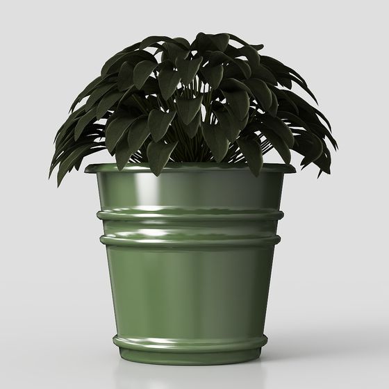 Indoor Potted Plant 3D Model