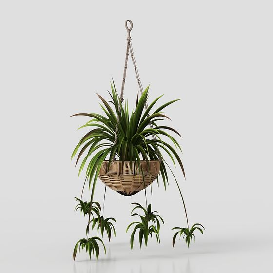 Hanging Basket Plant 3D Model for Modern Interiors