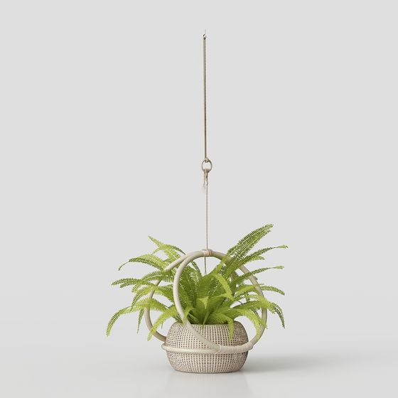 Hanging Green Plant 3D model - Natural Aesthetics