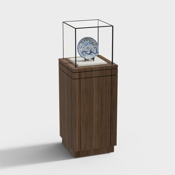 Museum Display Cabinet 3D model