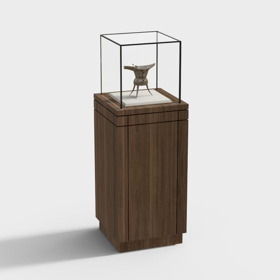 Museum Display Cabinet 3D model