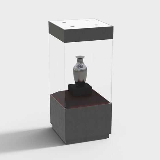 Modern Showcase Display Cabinet 3D model