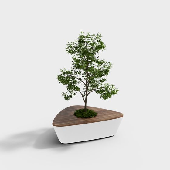 Urban Oasis 3D model - Lively Tree