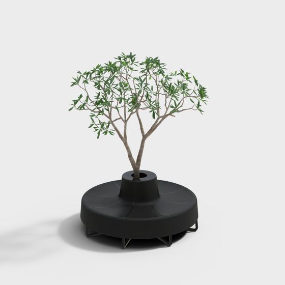 Urban Oasis 3D Model - Lively Low-Poly Tree