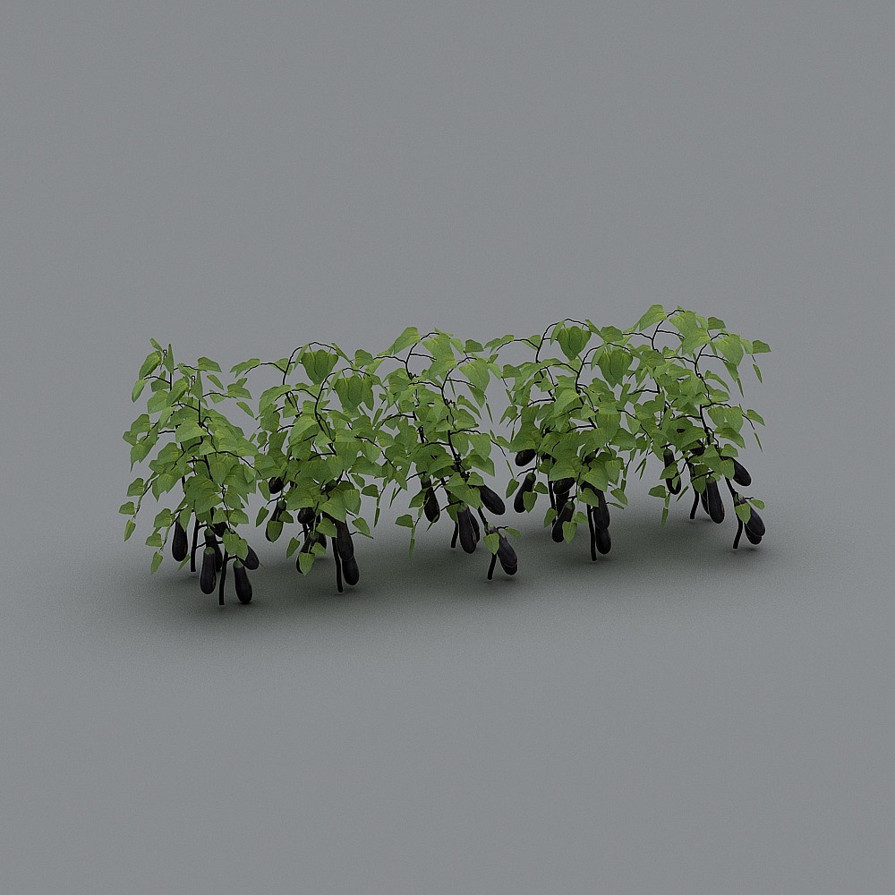 Vegetables 6