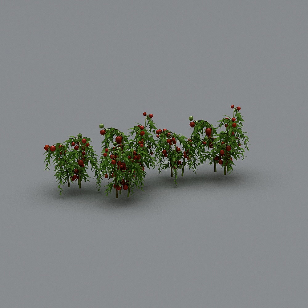 Vegetables 8