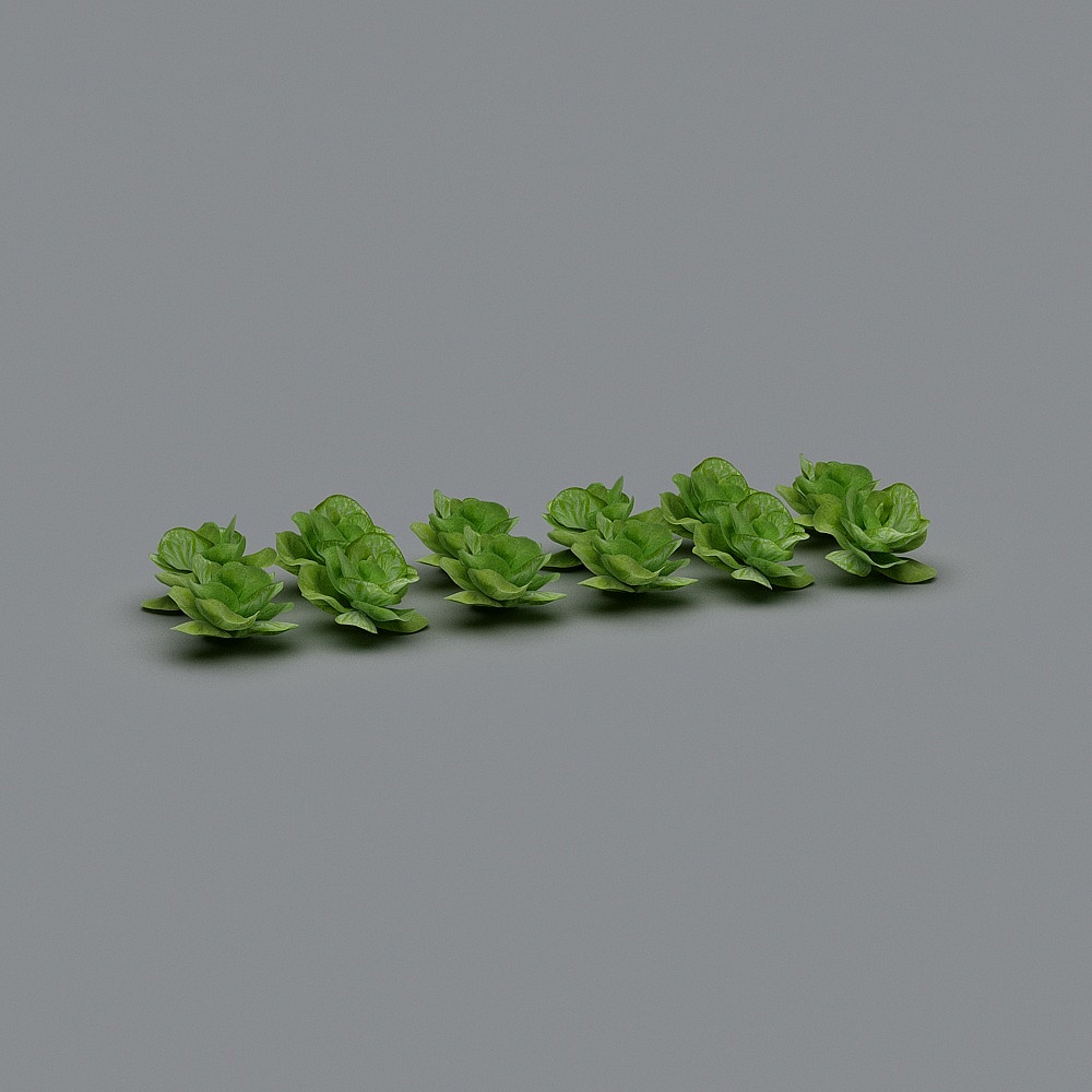 Vegetables 1