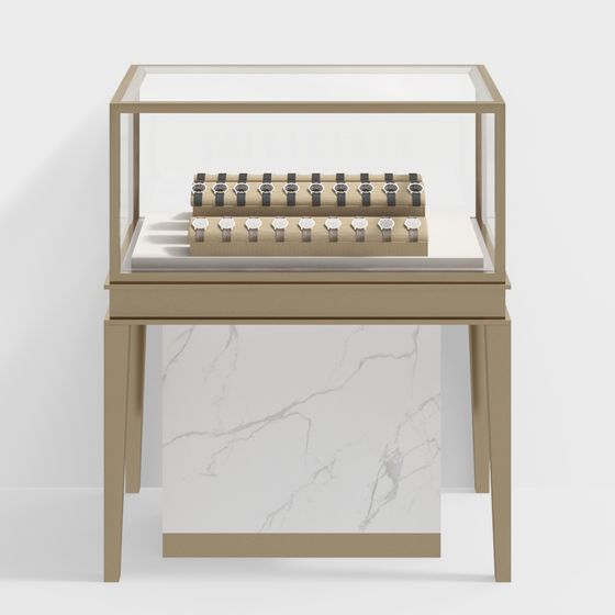 Elegant Watch Display Case 3D model