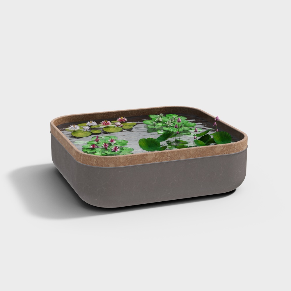 Phác thảo phong cảnh hồ cá