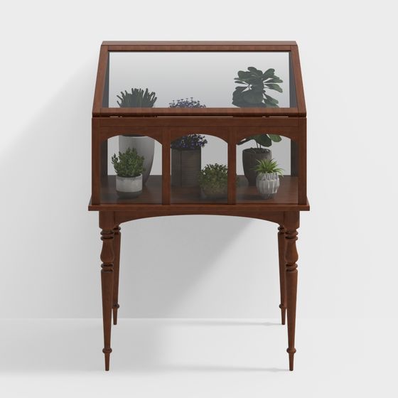 Vintage Display Cabinet 3D model for Contemporary Spaces
