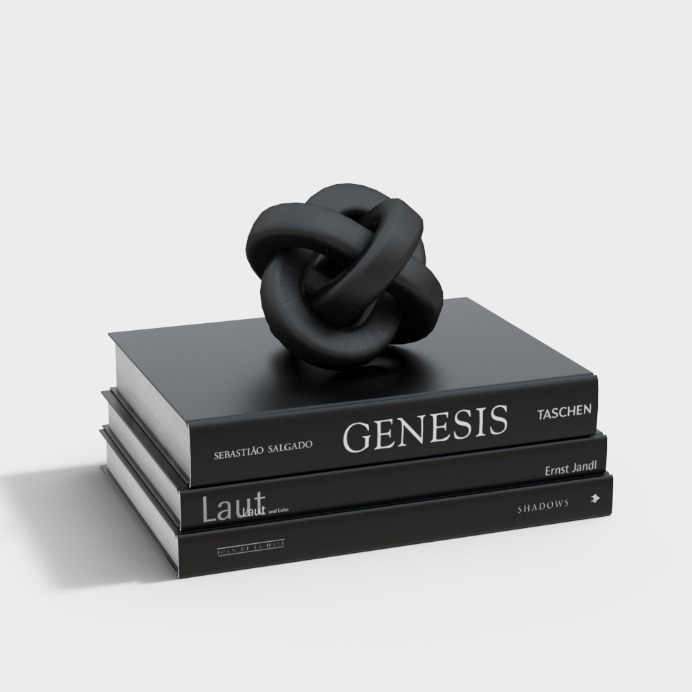 Knot Art 3D Model