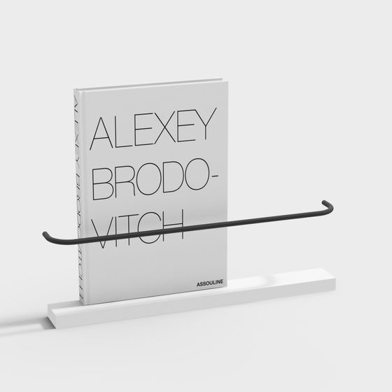 Sleek Modern Bookshelf 3D model