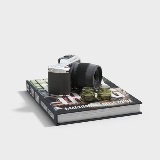 Camera and Art Guidebook 3D model