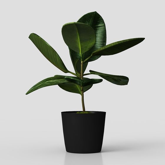 Come Home SANTANDER-ต้นไม้เทียม-35x35x45-เขียว