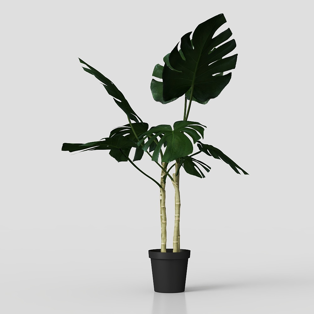 カムホーム ムルシア-人工植物-60x60x90-緑