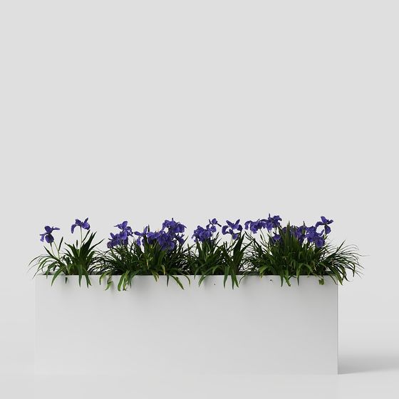 Low-Poly Iris Flowerbed 3D Model