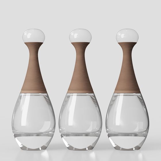 Streamlined Glass Bottle 3D model