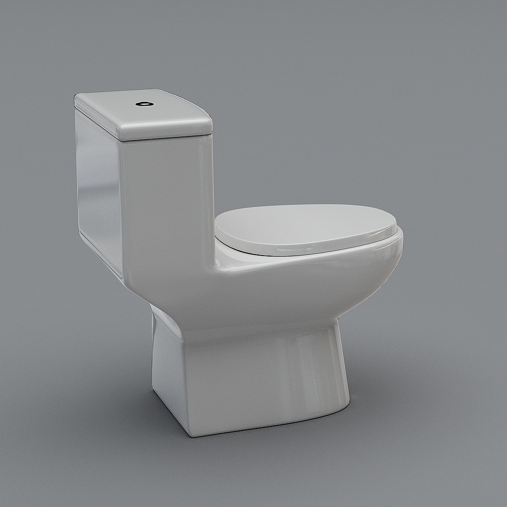 toilet