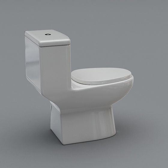 Modern Minimalist Toilet 3D Model