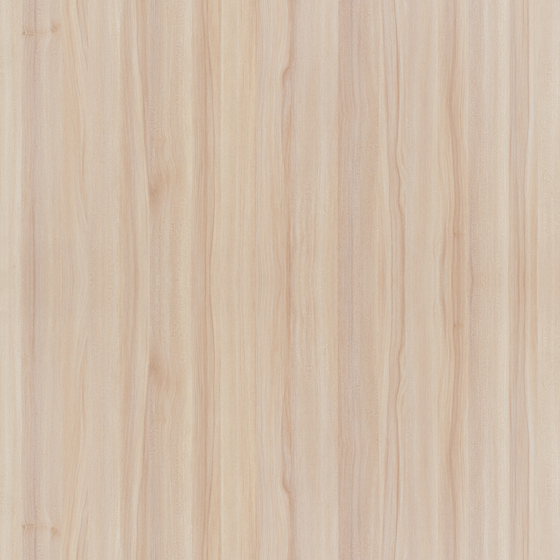 Maple 3D Model in Earth Color